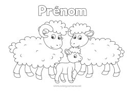 Dessin gratuit Mouton Animal Coloriages faciles Animaux de la ferme Famille
