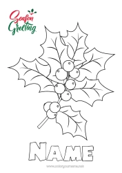 Colouring to customise Happy New Year Holly
