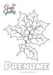 Pagină de colorat gratuită La mulți ani! Ilex