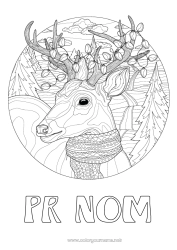 Dessin gratuit Hiver Animal Animaux de la forêt Cerf écharpe