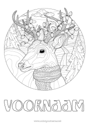 Gratis tekening Winter Dier Bosdieren Hert Sjaal