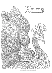Free drawing Animal Peacock Complex coloring pages Zentangle Flying birds and mammals
