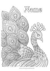 Disegno gratuito Animale Pavone Colorazioni complesse Zentangle Uccelli e mammiferi volanti