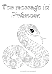 Coloriage gratuit Animal Serpent Coloriages intermédiaires Zentangle Reptiles 2025