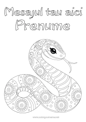 Pagină de colorat gratuită Animal Șarpe Colorează intermediare Zentangle Reptile 2025