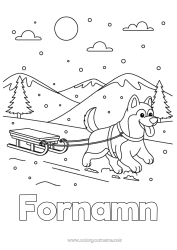 Gratis färgläggning Sport Snö Vinter Kälke Djur Hundar och katter Vintersporter Husky