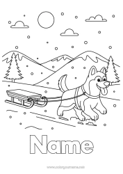 Colouring to customise Sport Snow Winter Sledge Animal Dogs And Cats Winter Sports Husky