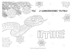 Kolorowanka do personalizacji Boże Narodzenie Płatki śniegu Zwierzę Wąż Zentangle Gady
