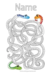 Colouring to customise Animal Snake Reptiles Maze