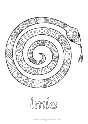 Kolorowanka do personalizacji Zwierzę Wąż Kolorowanki pośrednie Zentangle Gady