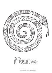 Free colouring Animal Snake Intermediate colouring sheets Zentangle Reptiles