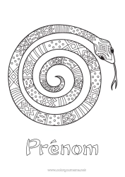Coloriage à personnaliser Animal Serpent Coloriages intermédiaires Zentangle Reptiles