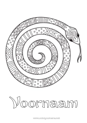 Gratis tekening Dier Slang Intermediaire kleurplaten Zentangle Reptielen