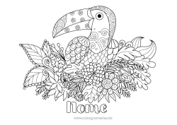 Disegno gratuito Fiori Animale Tucano Zentangle Uccelli e mammiferi volanti