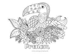 Coloriage gratuit Fleurs Animal Toucan Zentangle Oiseaux et mammifères volants