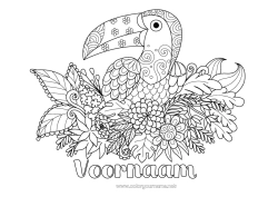 Gratis kleurplaat Bloemen Dier Toekan Zentangle Vogels en vliegende zoogdieren