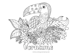Kostenlose Malvorlage Blumen Tier Tukan Zentangle Vögel und fliegende Säugetiere