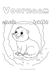 Gratis kleurplaat Dier Bosdieren Marmot Groundhog Day (Dag van de Marmot) Holen
