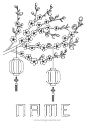 Colouring to customise Chinese Lantern Japan Tree China Cherry Tree