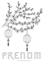 Coloriage gratuit Lanterne chinoise Japon Arbre Chine Cerisier