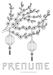 Pagină de colorat gratuită Lanterna chineză Japon Copac China - China Cireș