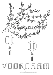 Gratis kleurplaat Chinese lantaarn Japan Boom China Kersenboom