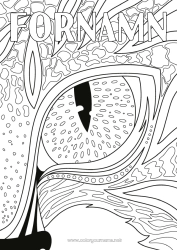 Färgläggningssida att anpassa Katt Tigern Lejon Drake Djur Komplexa målarbilder Zentangle Leopard Hundar och katter Drakar, enhörningar och fantastiska djur Afrikas vilda djur Panter öga