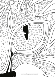 Colouring to customise Cat Tiger Lion Dragon Animal Complex Colouring Pages Zentangle Leopard Dogs And Cats Dragons, Unicorns, And Fantastical Creatures Wild Animals Of Africa Panther Eye