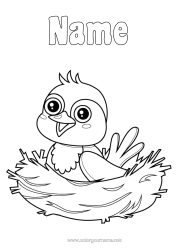Colouring to customise Bird Animal Birds And Flying Mammals Bird's Nest