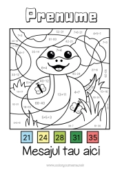 Desen liber de colorat Desene magice de colorat Animal Șarpe Scăderi înmulțiri Adăugiri Reptile