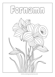 Gratis färgläggning Blommor Påskliljor Zentangle