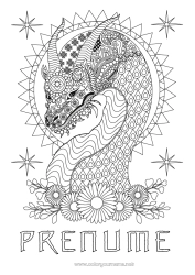 Pagină de colorat personalizată Flori Dragon Animal Desene de colorat complexe Zentangle Dragoni, unicorni și animale fantastice