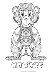 Colorear gratis Mandala Animales Mono Zentangle Animales salvajes de África