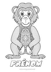 Dessin gratuit Mandala Animal Singe Zentangle Animaux sauvages d'Afrique