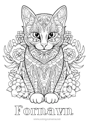 Gratis fargelegging Katt Mandala Dyr Komplekse fargelegginger Zentangle Hunder og katter