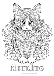 Colorear gratis Cat Mandala Animales Dibujos complejos para colorear Zentangle Perros y gatos