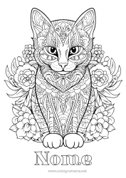 Desenho grátis Gato Mandala Animal Colorações Complexas Zentangle Cães e gatos