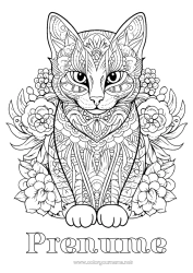 Desen liber de colorat Pisică Mandala Animal Desene de colorat complexe Zentangle Câini și pisici