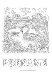Gratis färgläggning Djur Svan Komplexa målarbilder Zentangle Fåglar och flygande däggdjur Bro