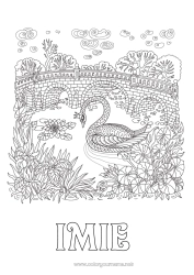 Rysunek za darmo Zwierzę Łabędź Złożone kolorowanki Zentangle Ptaki i latające ssaki Most