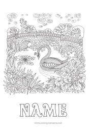 Free coloring Animal Swan Complex coloring pages Zentangle Flying birds and mammals Bridge
