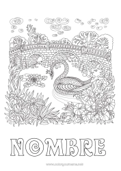 Colorear gratis Animales Cisne Dibujos complejos para colorear Zentangle Aves y mamíferos voladores Puente