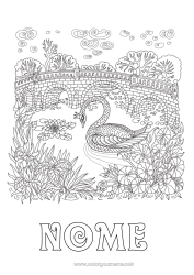 Desenho grátis Animal Cisne Colorações Complexas Zentangle Pássaros e mamíferos voadores Ponte
