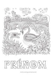 Coloriage gratuit Animal Cygne Coloriages complexes Zentangle Oiseaux et mammifères volants Pont
