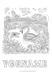 Kostenlose Malvorlage Tier Schwan Komplexe Ausmalbilder Zentangle Vögel und fliegende Säugetiere Brücke