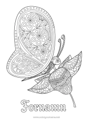 Gratis färgläggning Fjäril Djur Komplexa målarbilder Zentangle Insekter