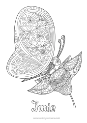 Rysunek za darmo Motyl Zwierzę Złożone kolorowanki Zentangle Owady