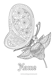 Free colouring Butterfly Animal Complex colouring pages Zentangle Insects