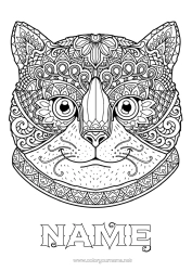 Colouring to customise Cat Animal Complex Colouring Pages Zentangle Dogs And Cats Head