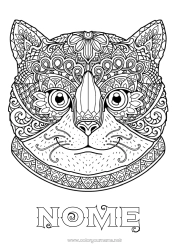 Disegno gratuito Gatto Animale Colorazioni complesse Zentangle CanI e gatti Testa